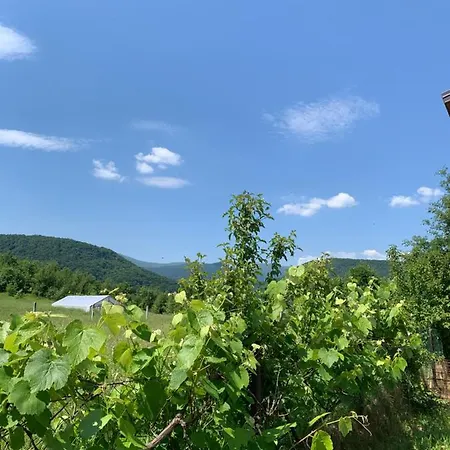 Nisa & De Apartman Bihać